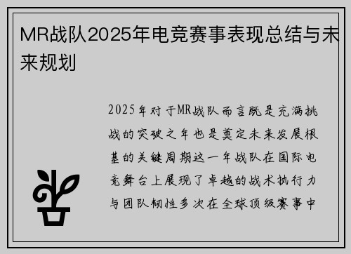 MR战队2025年电竞赛事表现总结与未来规划